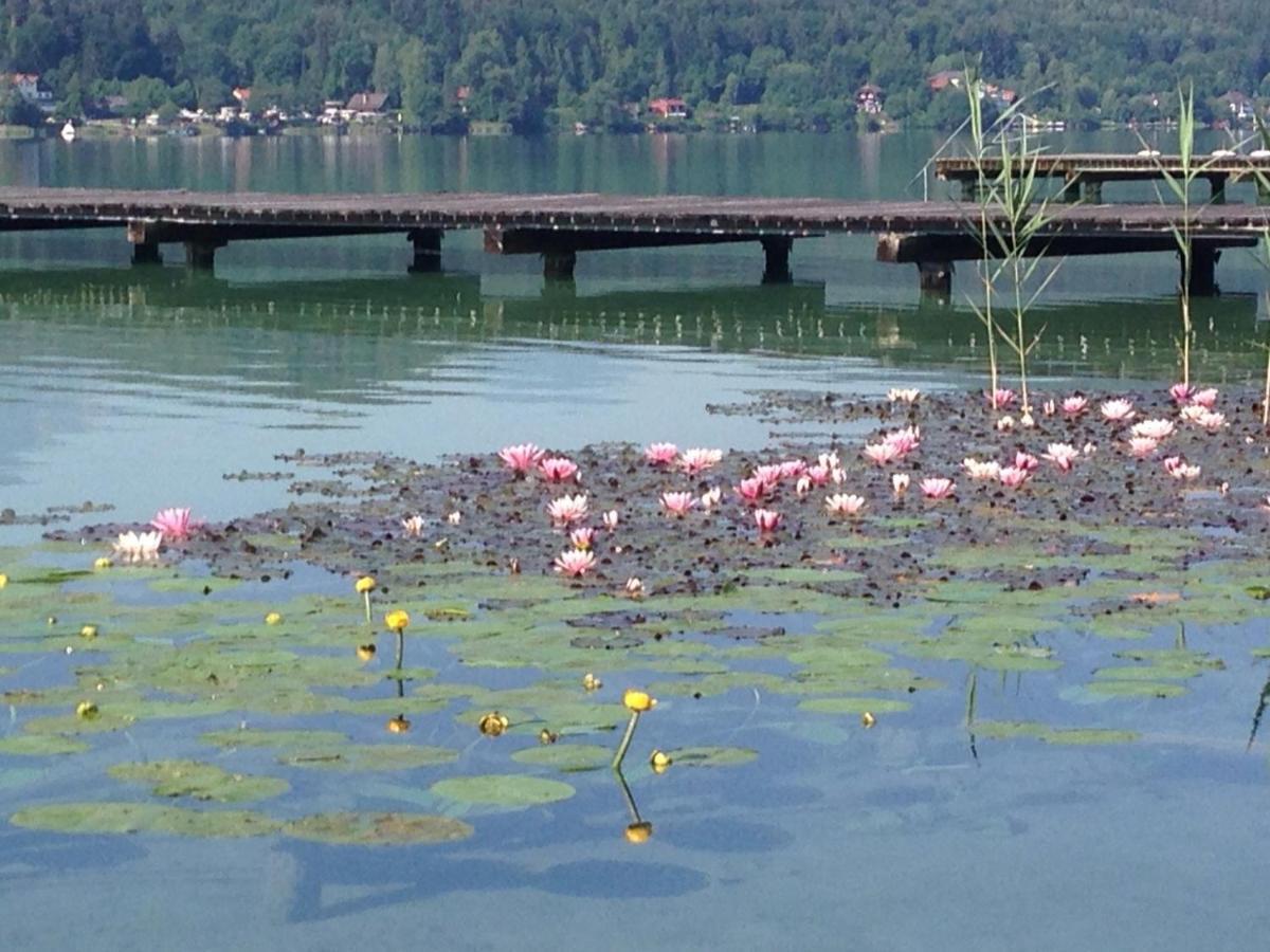 Landhaus Klopein Sankt Kanzian am Klopeiner See Bagian luar foto
